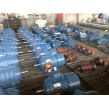 3 Phase Motor Y-2160m-4 Export to UAE